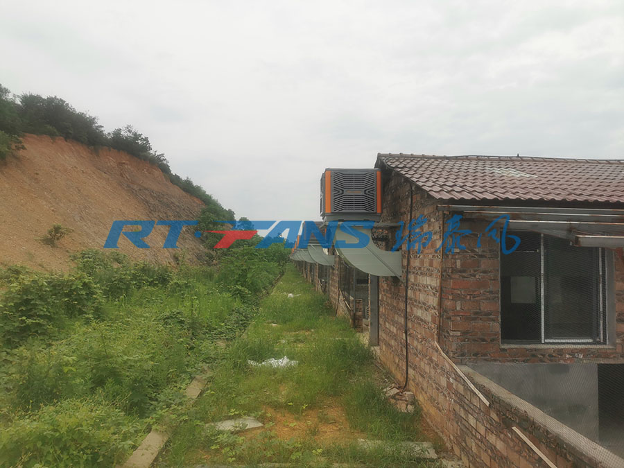 工廠降溫,環(huán)保空調(diào),冷風機